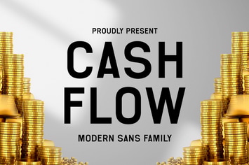 Cash Flow Business Family Font