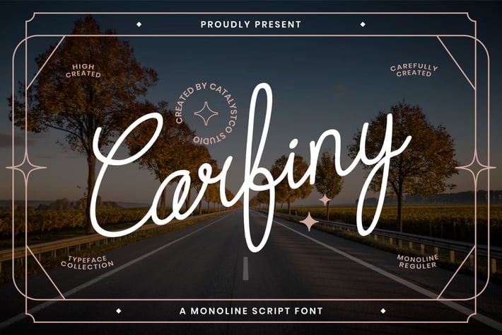 Carfiny Script Font 