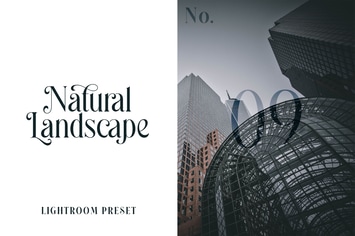 Lightroom Preset - Natural Landscape No.09