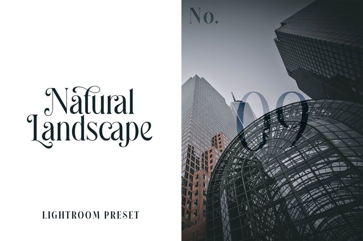 Lightroom Preset - Natural Landscape No.09