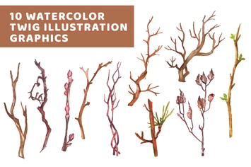 10 Watercolor Twig Illustration Graphics