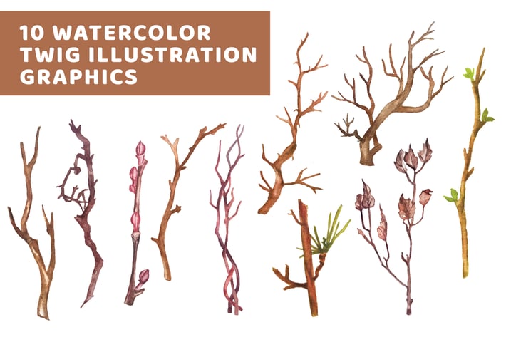 10 Watercolor Twig Illustration Graphics