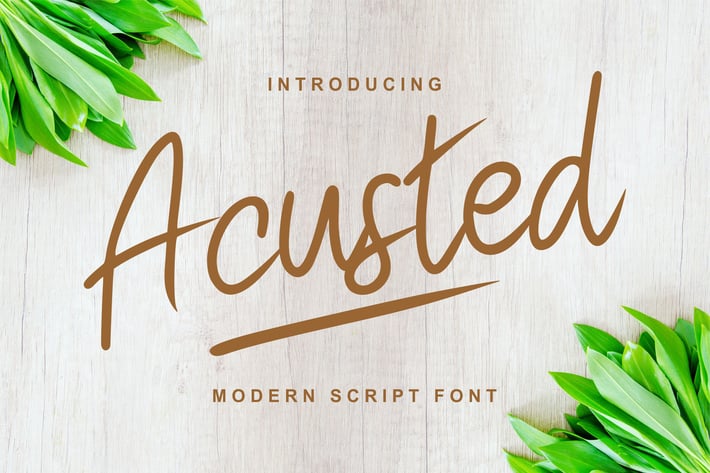Acusted | Modern Script Font
