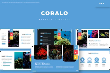 Coralo - Keynote Template
