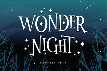 Wonder Night