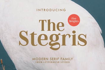 The Stegris Serif Family - 5 Weights