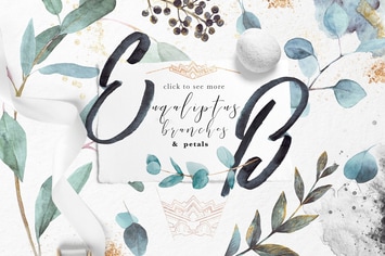 Eucalyptus "Artarian" vol.2.4