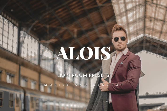 Alois Lightroom Presets Dekstop and Mobile
