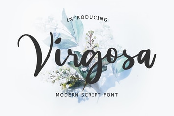 Virgosa Modern Script Font