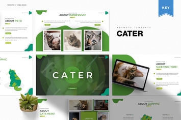 Cater | Keynote Template