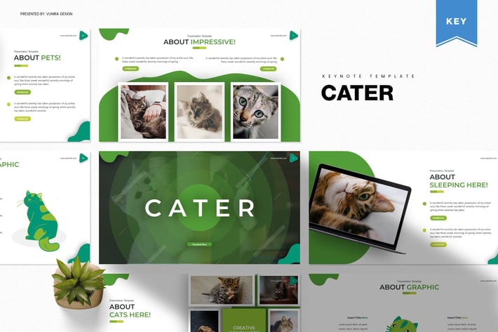 Cater | Keynote Template