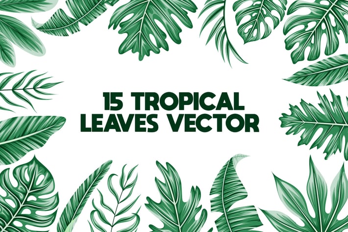 15 Tropical Leave Vector