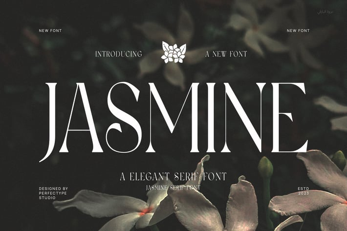 Jasmine Elegant Minimalist Serif Font Typeface