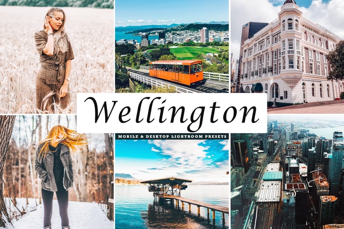 Wellington Mobile & Desktop Lightroom Presets