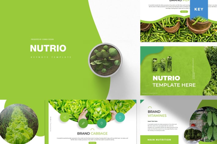 Nutrio | Keynote Template