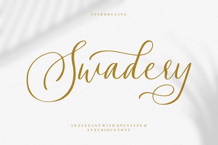 Swadery | Luxurious Font