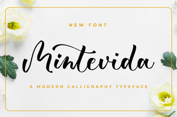 Mintevida - Wedding Font