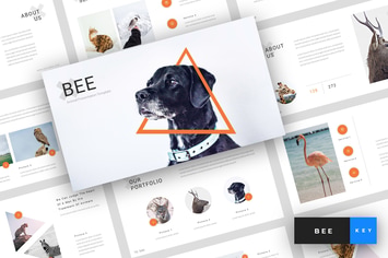 Bee - Animal Keynote Template
