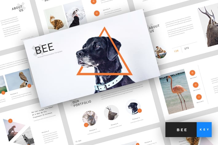 Bee - Animal Keynote Template
