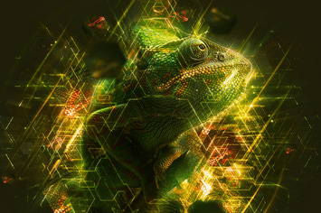 Paradigm Photoshop Action