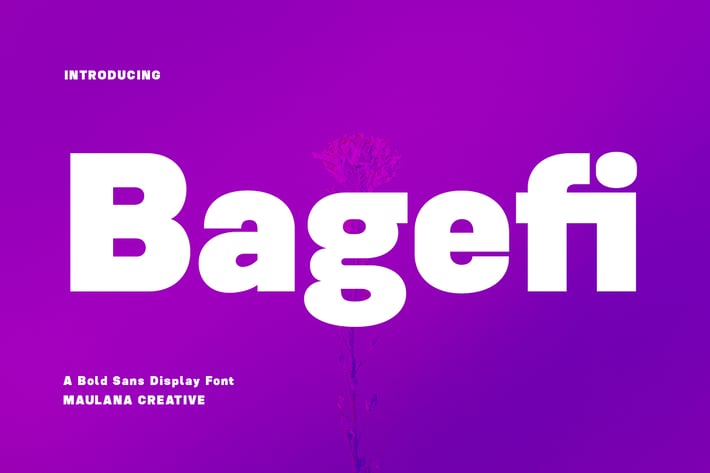 Bagefi Sans Serif Display Font