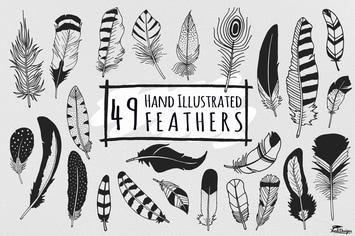 Hand Illustrated Feathers