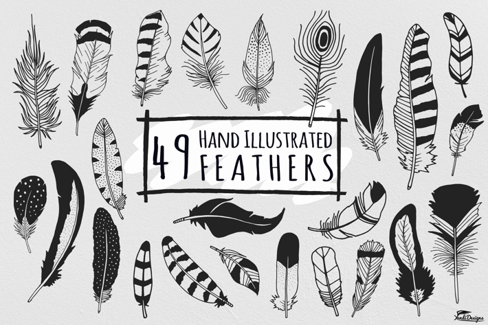 Hand Illustrated Feathers