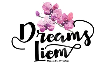 Dreams Liem