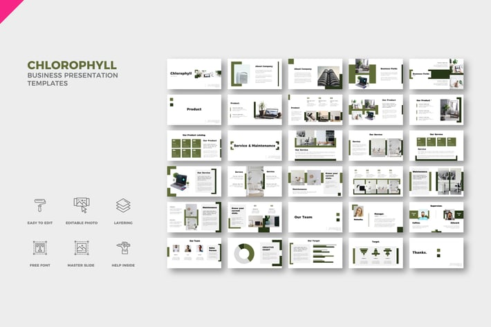 Chlorophyll Business Presentation