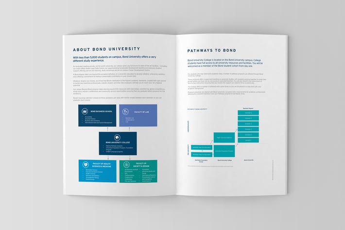 Brochure and Catalog Mockups