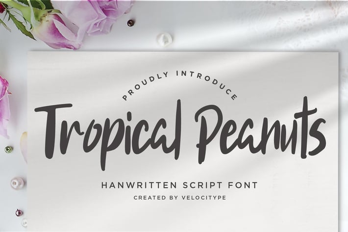 Tropical Peanut - Modern Script fonts