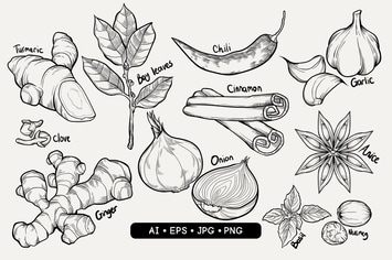 Hand Drawn Spices