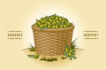 Retro Basket Of Olives