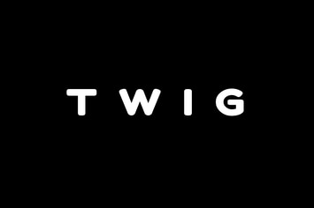 TWIG - Unique Display / Headline / Logo Typeface