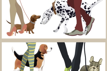 Cute dogs with their owners. Vector illustration