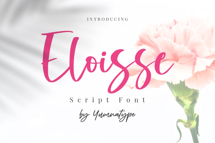 Eloisse-Elegant Handwritten Font