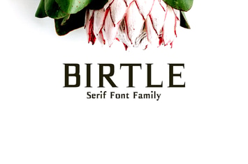 Birtle Serif Font Family