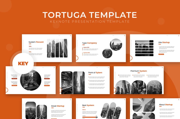 Tortuga - Keynote Template