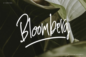 Bloomberg