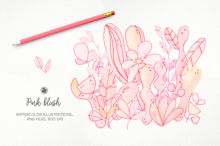Pink Blush Flowers