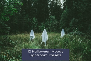 12 Halloween Moody Lightroom Presets