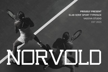 Norvold Slab Serif Font
