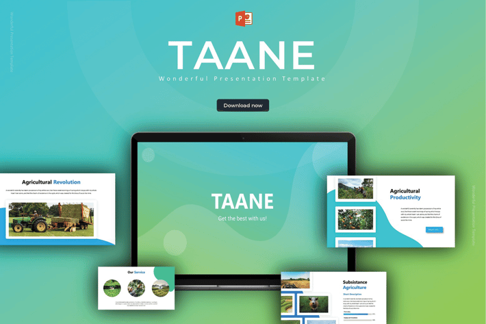 Taane - Powerpoint Template