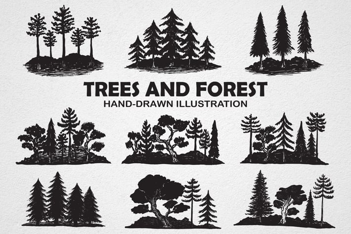Trees and Forest Hand drawn Illustration