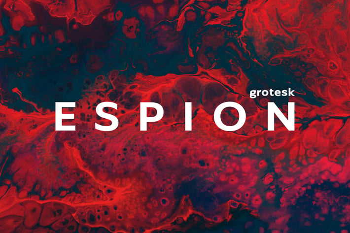  Espion Grotesk - Modern Display Typeface 