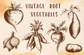 Vintage Root Vegetables