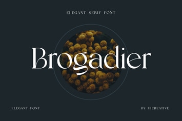 Brogadier Elegant Serif Font