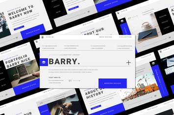 BARRY Bundle Presentation Template