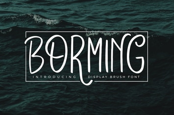 Borming Typeface