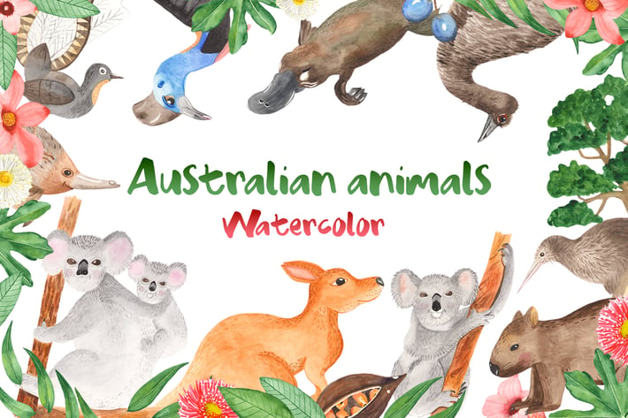 Watercolor Australian animals and plants